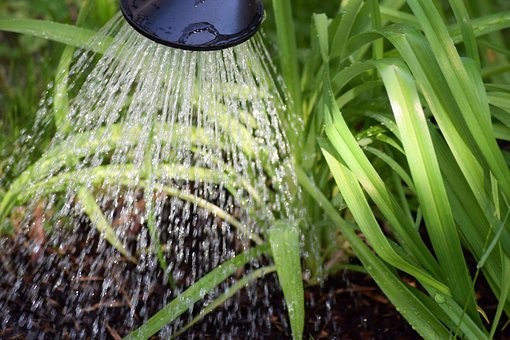 Water can